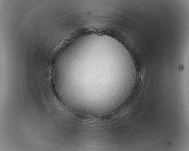 X0000113341012200909291024