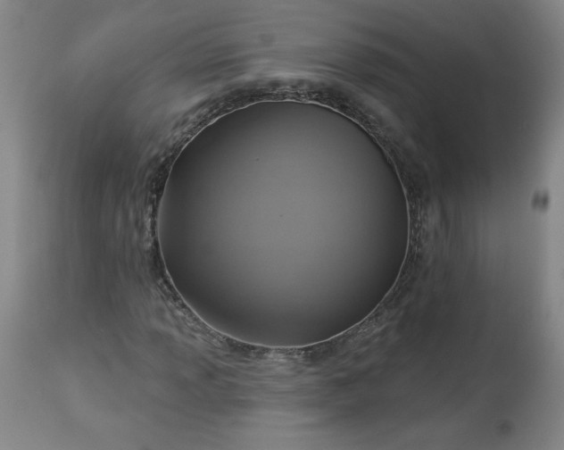 X0000113341013200909291024