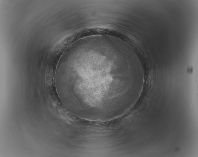 X0000113341014200909291024