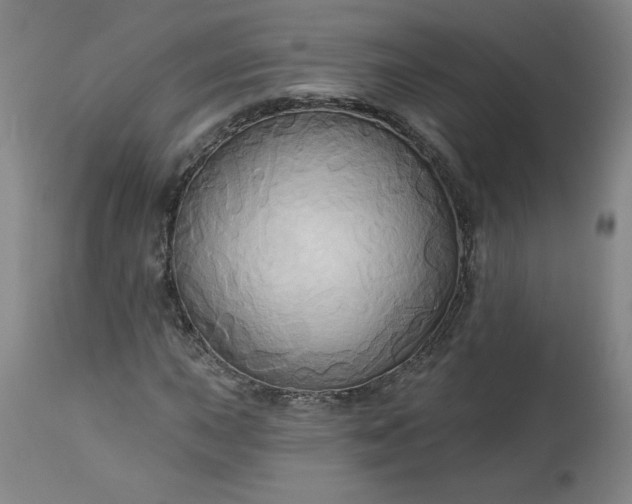 X0000113341015200909291024