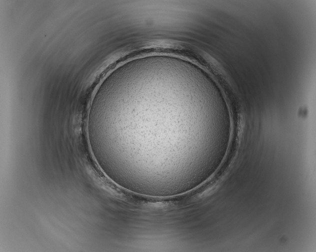 X0000113341017200909291025