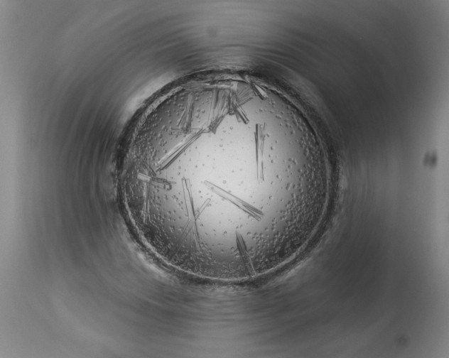 X0000113341018200909291025