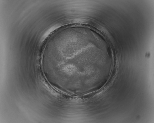 X0000113341019200909291025