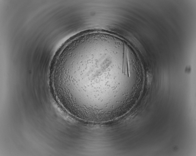 X0000113341020200909291025