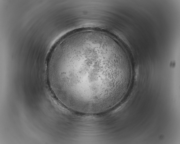 X0000113341021200909291025