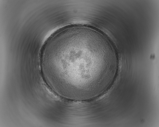 X0000113341022200909291025