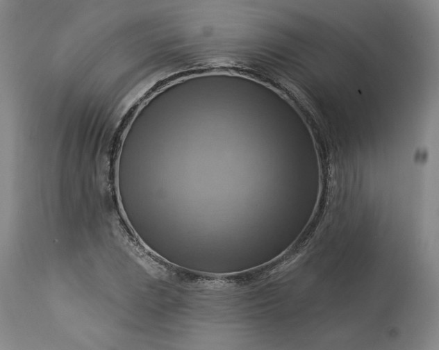 X0000113341023200909291025