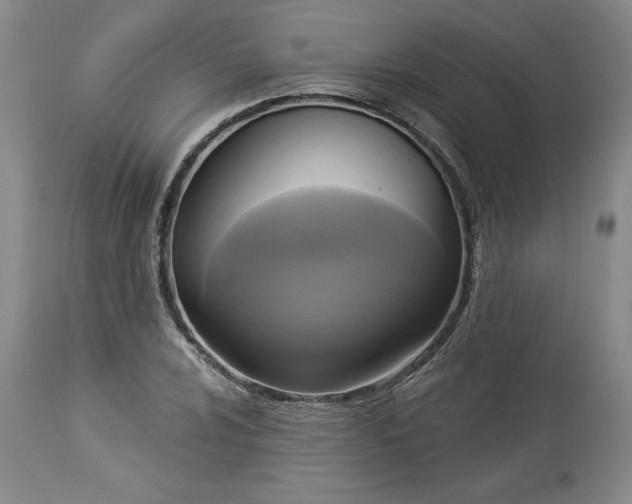 X0000113341024200909291025