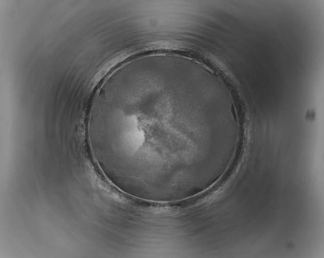 X0000113341025200909291025