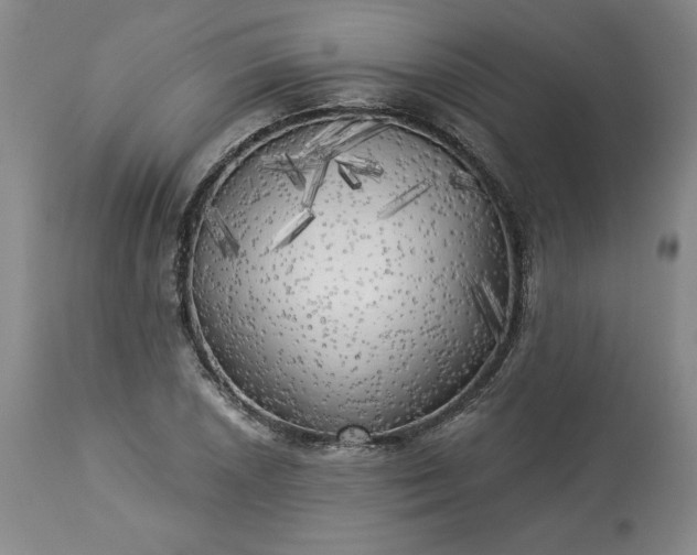 X0000113341026200909291025