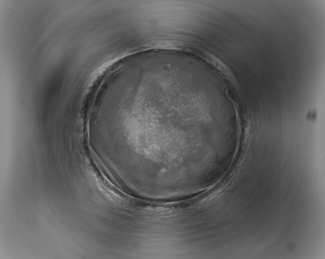 X0000113341027200909291025