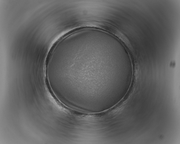 X0000113341028200909291025