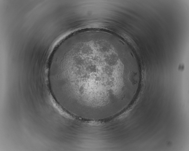 X0000113341029200909291025