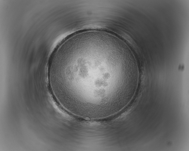 X0000113341030200909291025