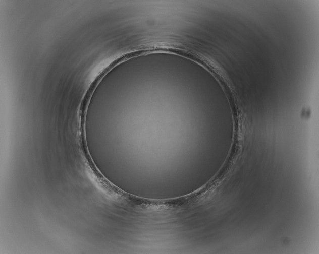 X0000113341031200909291025