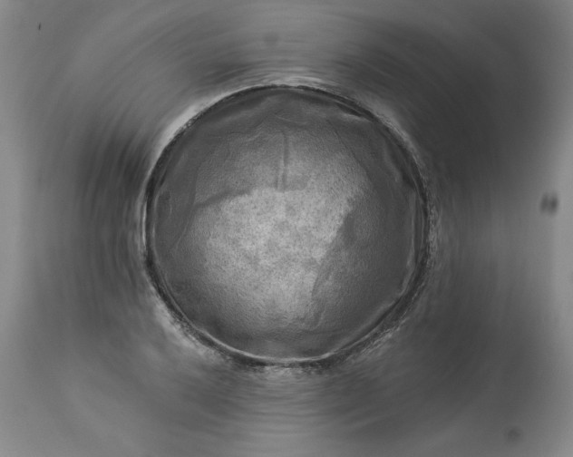 X0000113341032200909291025