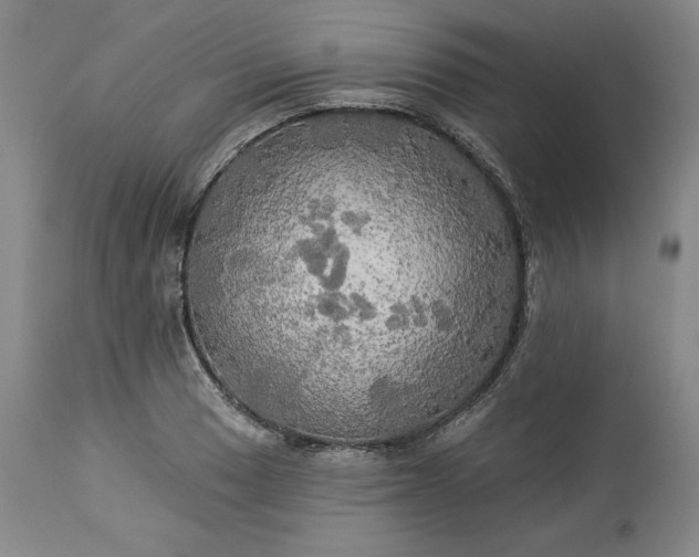 X0000113341033200909291025