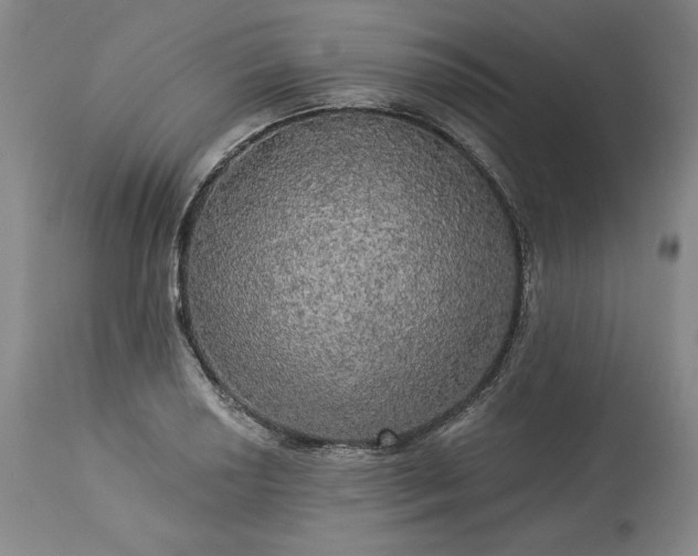 X0000113341034200909291025