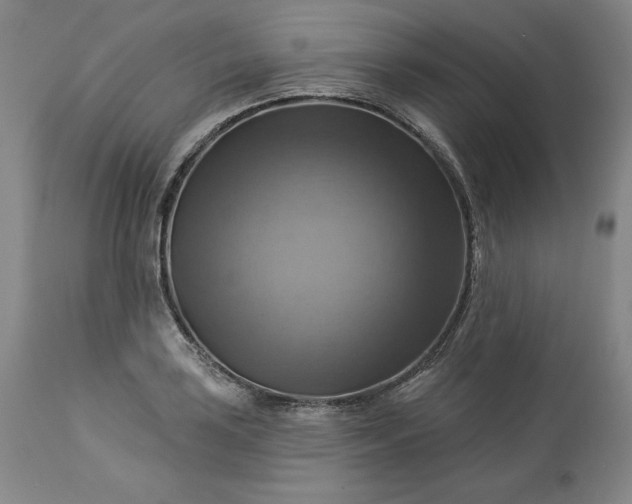 X0000113341035200909291025