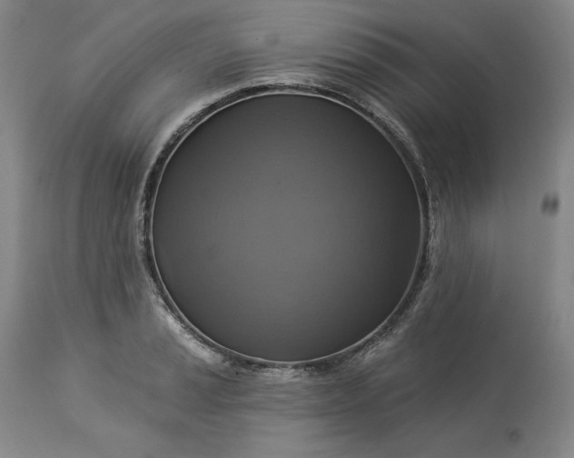 X0000113341037200909291025