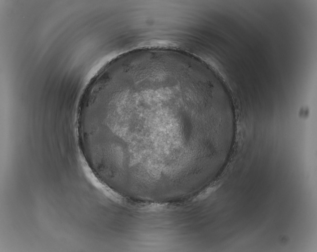 X0000113341038200909291025