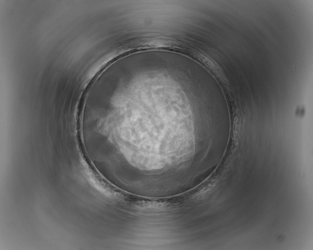 X0000113341039200909291025