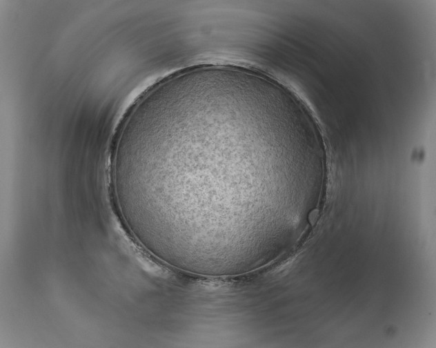 X0000113341040200909291025