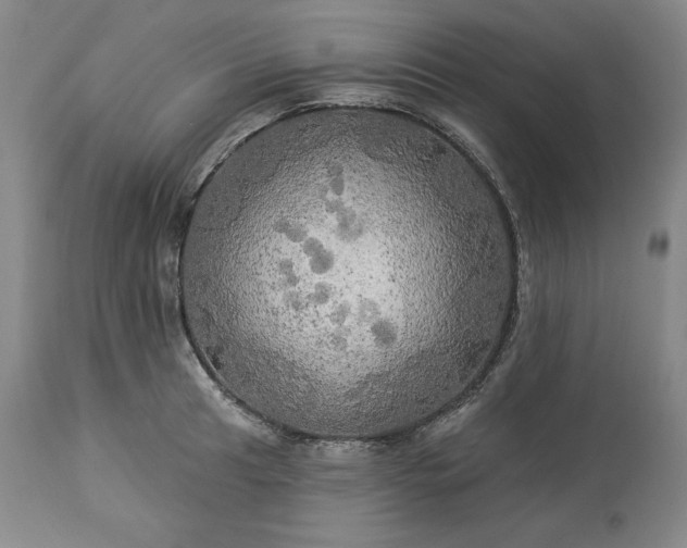 X0000113341041200909291025