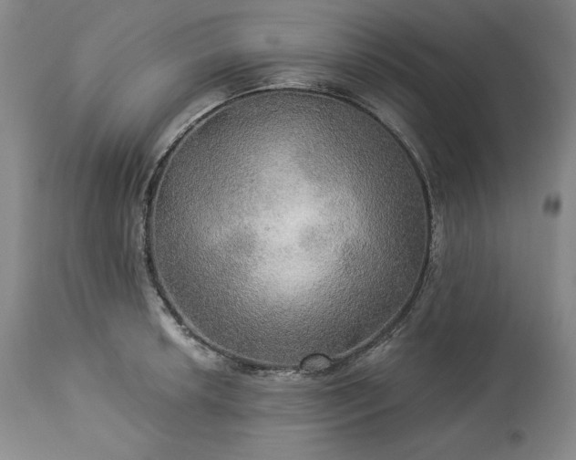 X0000113341042200909291025