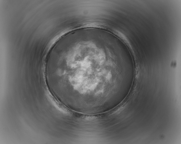 X0000113341043200909291025