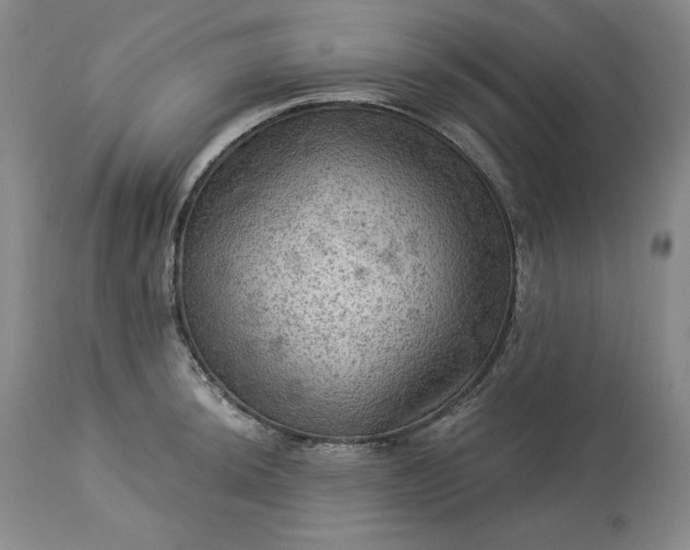 X0000113341044200909291025