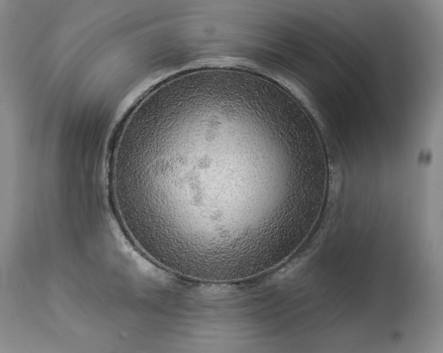 X0000113341046200909291025