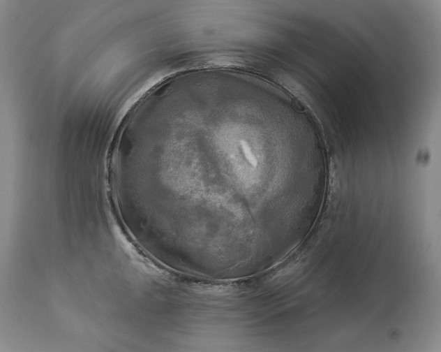 X0000113341047200909291025