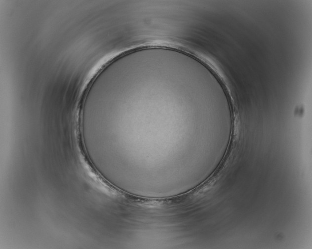 X0000113341048200909291025