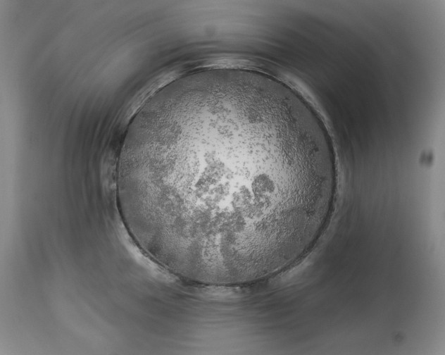 X0000113341049200909291025