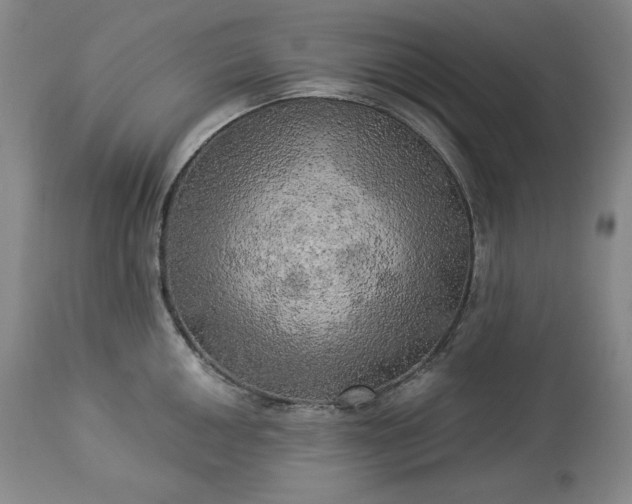 X0000113341050200909291025