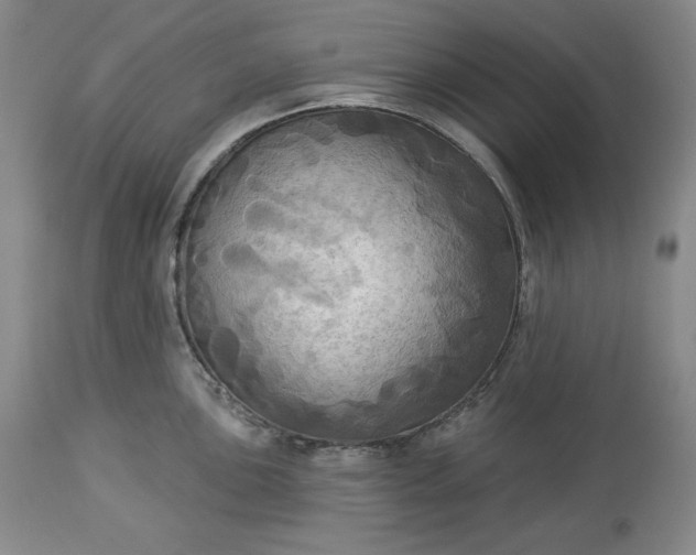 X0000113341051200909291025