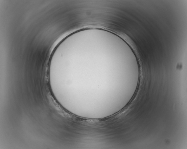 X0000113341052200909291025