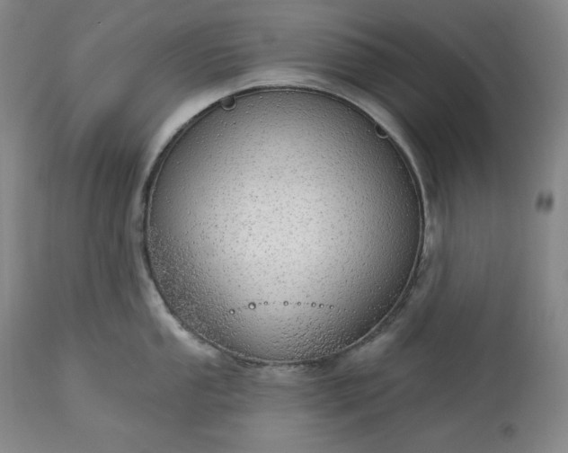 X0000113341053200909291025