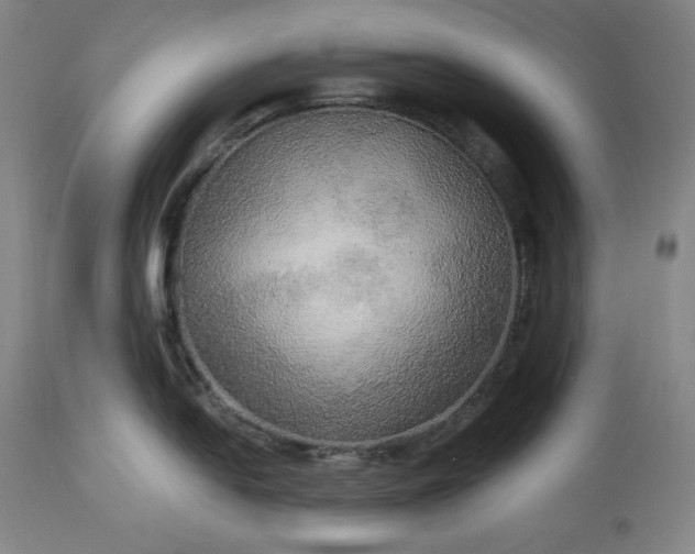 X0000113341054200909291025