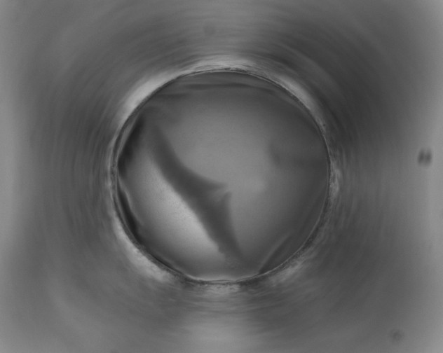 X0000113341055200909291025