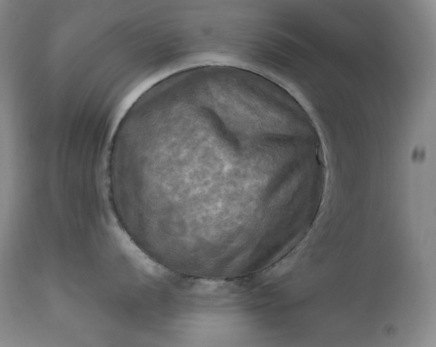 X0000113341056200909291025