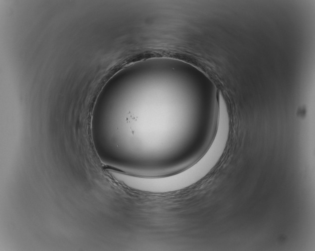 X0000113341057200909291024