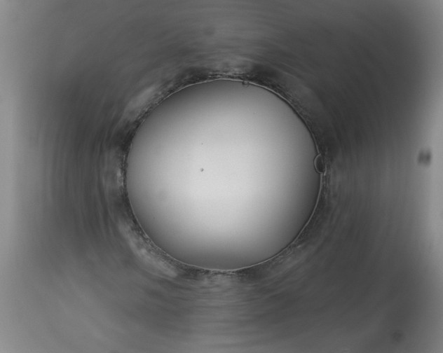 X0000113341058200909291024