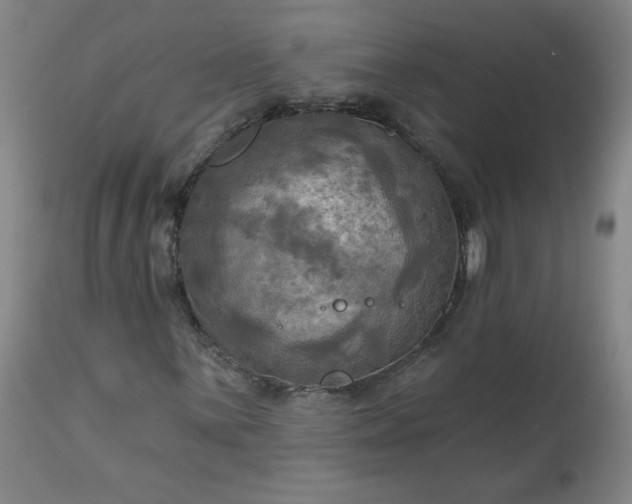 X0000113341059200909291024