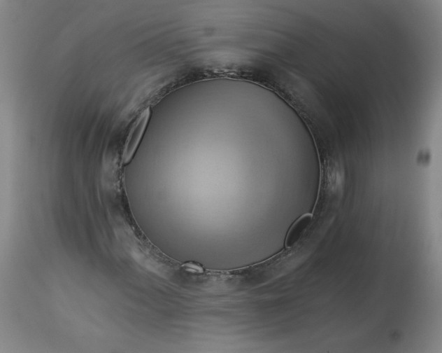 X0000113341060200909291024