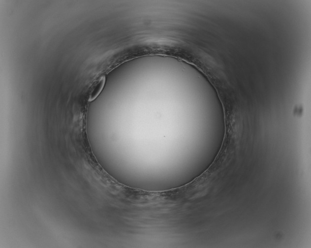 X0000113341061200909291024