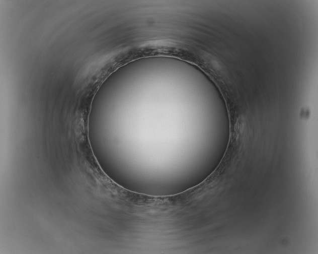 X0000113341062200909291024