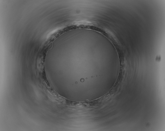 X0000113341063200909291024