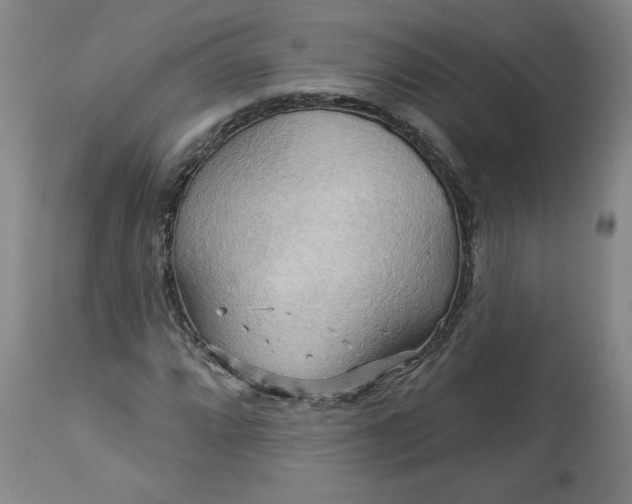 X0000113341064200909291024